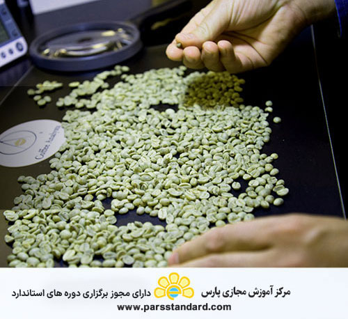 قهوه سبز – روش کالیبراسیون دستگاه رطوبت سنج – 16887