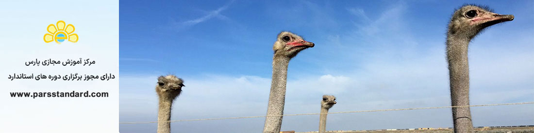 گوشت شتر مرغ &ndash; نگه داری در سردخانه &ndash; 16987